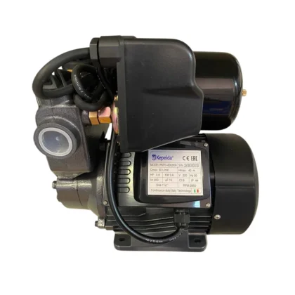 Вихревой насос PM70-600ZKR